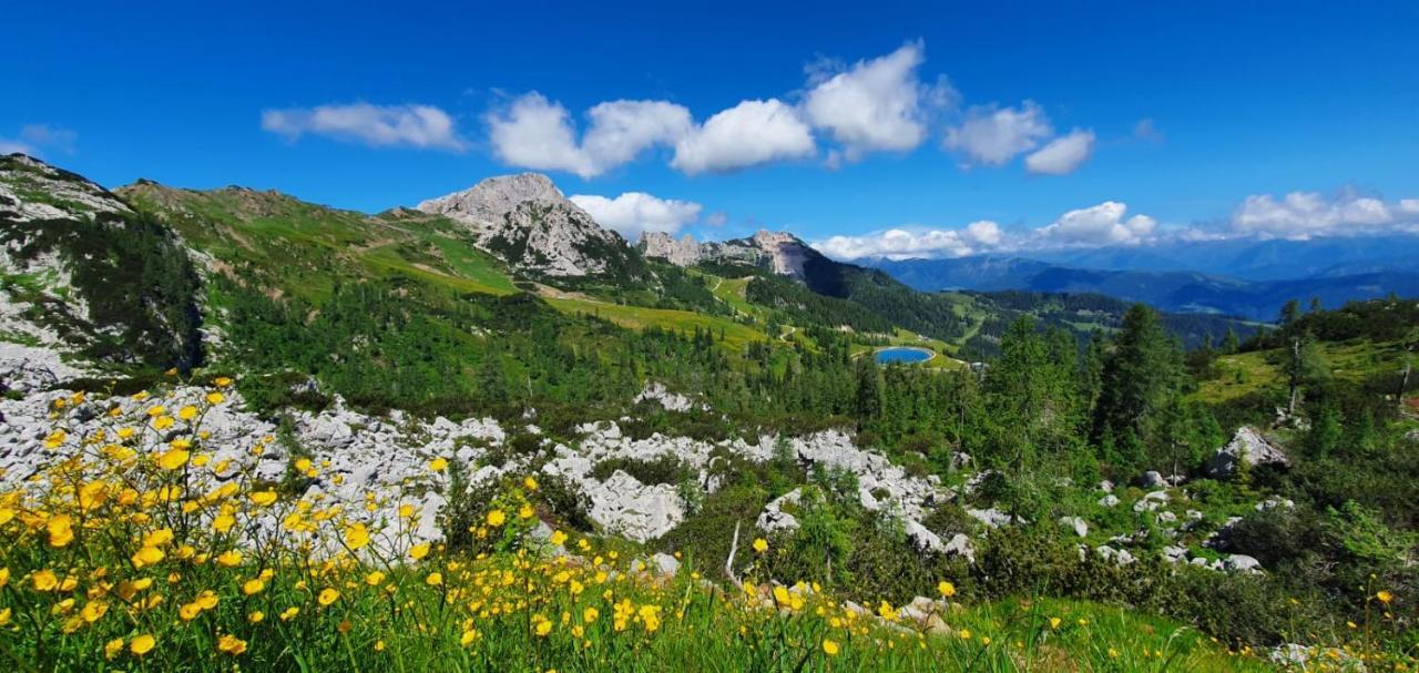 Almhaus Nassfeld Apartment Sonnenalpe Nassfeld Bagian luar foto