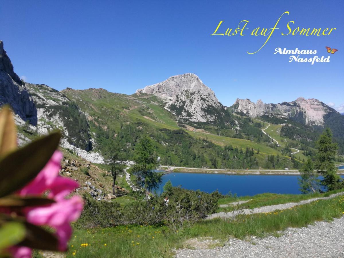 Almhaus Nassfeld Apartment Sonnenalpe Nassfeld Bagian luar foto